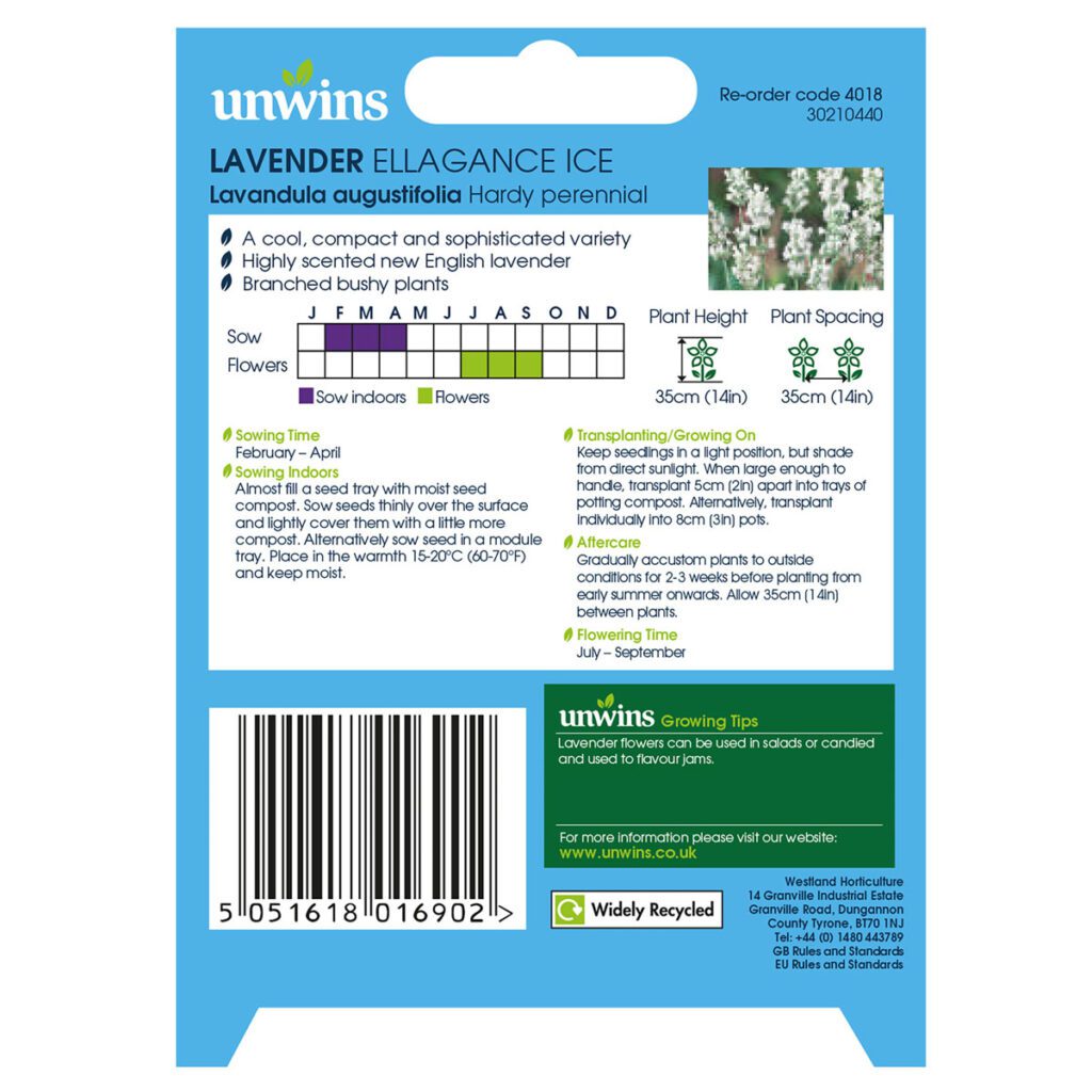 Unwins Lavender Ellagance Ice Gro-Sure Seeds 5051618016902 2